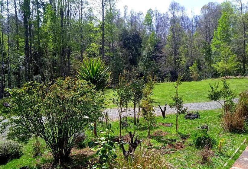 Mi Refugio Del Sur