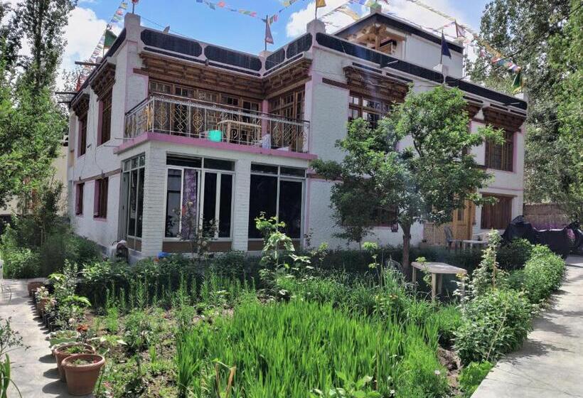 پانسیون Napishu Guest House