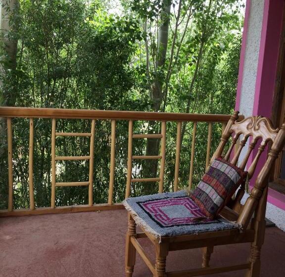 پانسیون Napishu Guest House