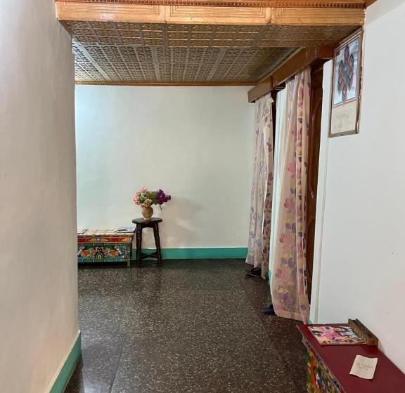 پانسیون Napishu Guest House