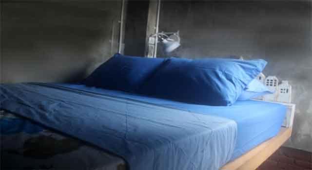 Shelter Hostel Malang