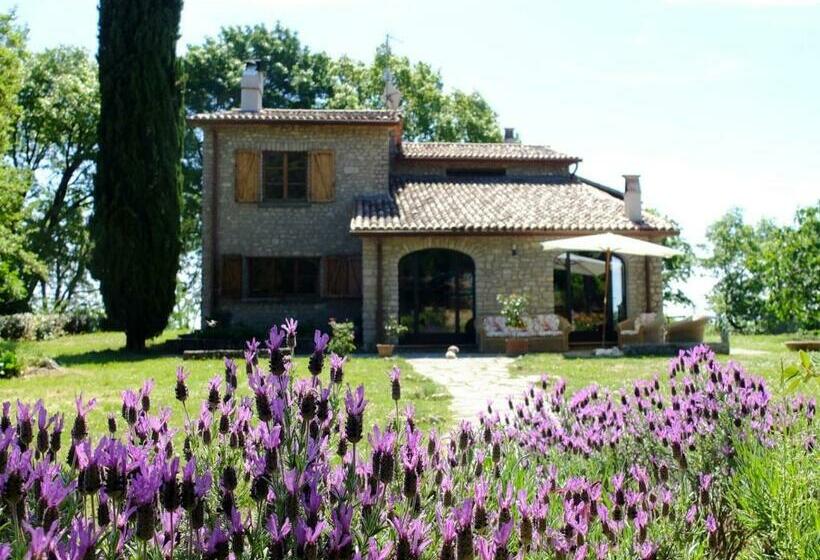 تختخواب و صبحانه Agriturismo Sanventura