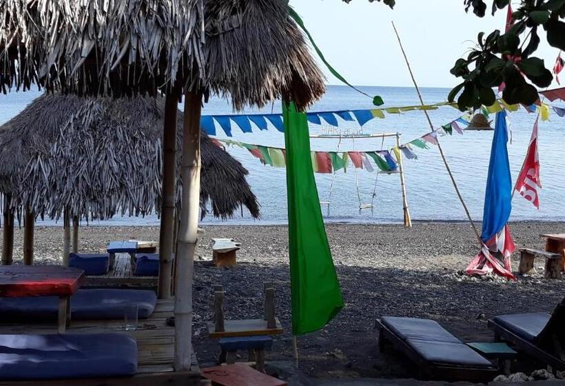 پانسیون Barracuda Beach Hostel