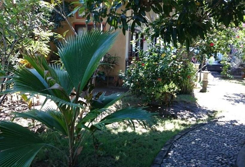 پانسیون Barracuda Beach Hostel