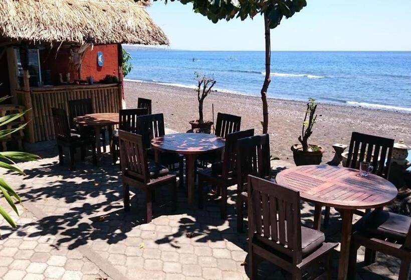پانسیون Barracuda Beach Hostel