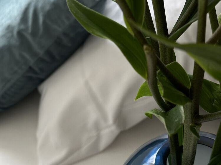 Aparthotel Faber