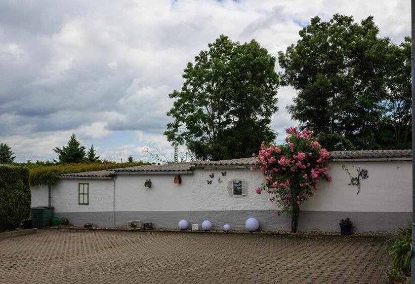 住宿加早餐 Pension Am Rosarium