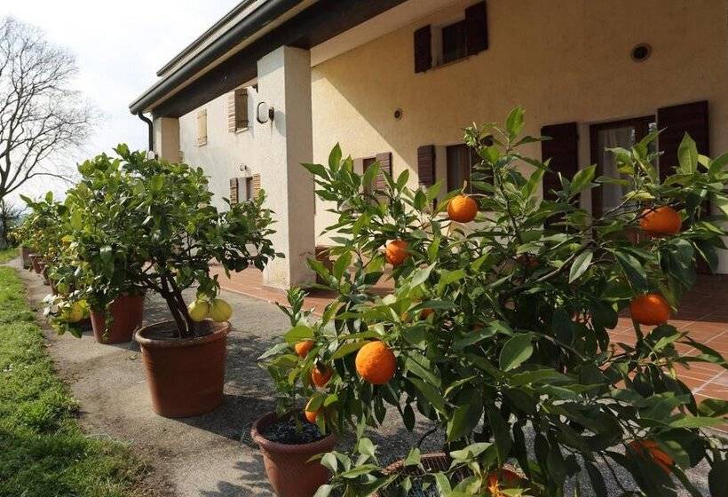 هتل Albergo Volpara