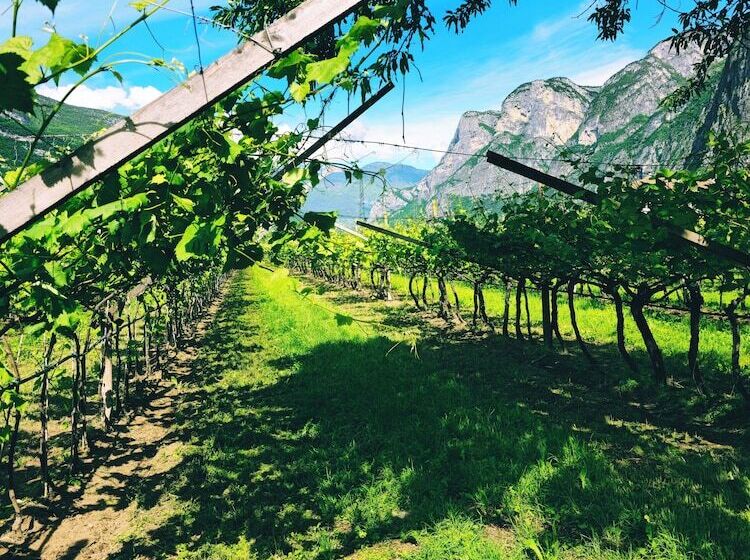 فندق Antico Fienile Agritur