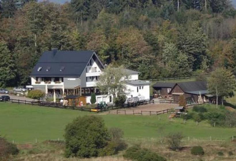 Hotel Ginsberger Heide