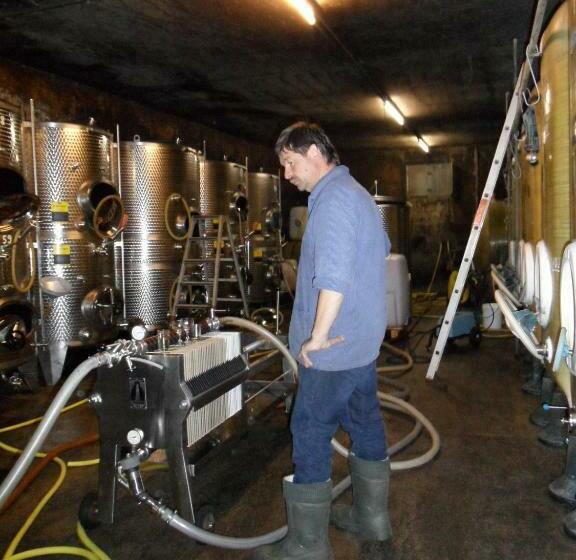 ホテル Gästehaus Weingut  Fröhliches Weinfass
