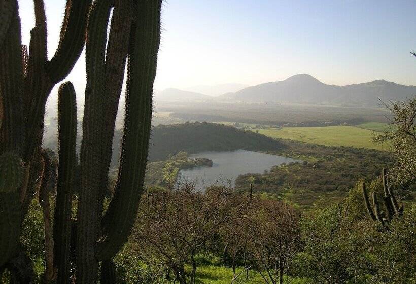 هتل Hacienda Los Lingues Chile Valle De Colchagua