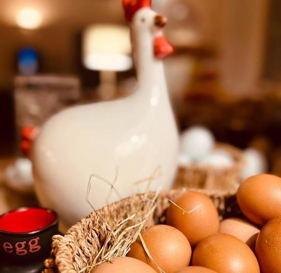 Отель Hôtel Les Vieilles Tours Rocamadour