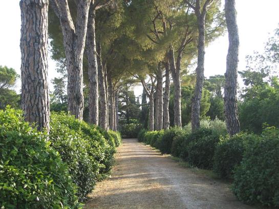 Hotel Il Parco Di Kipo Agroturismo