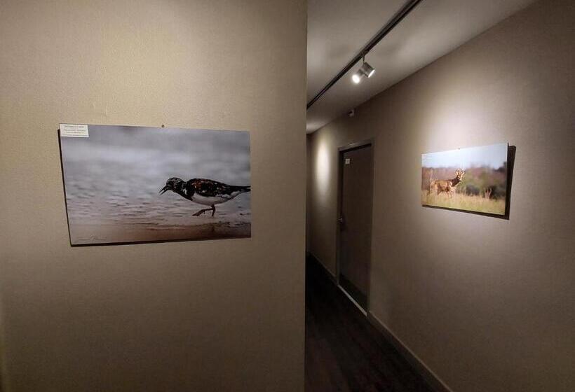 هتل Logis Hôtel   Les Pasteliers