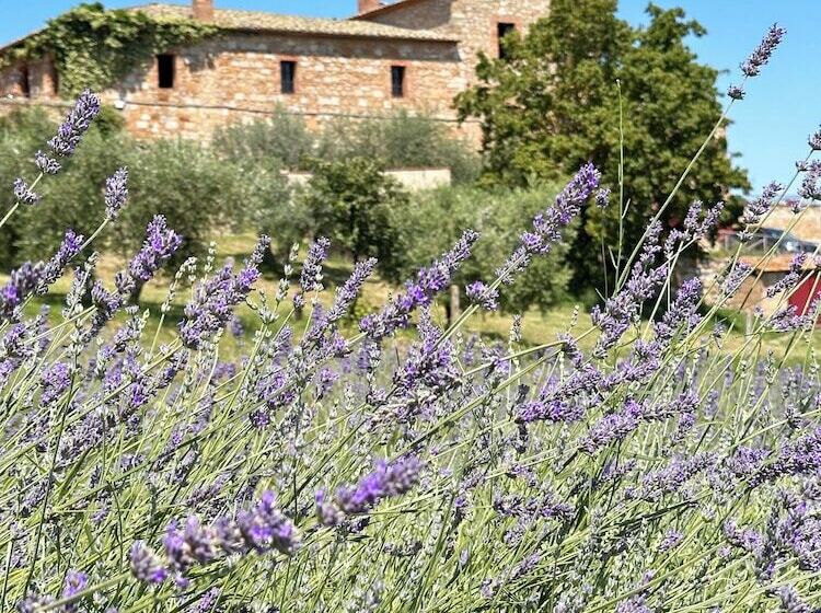 فندق Lachiusa Tuscany