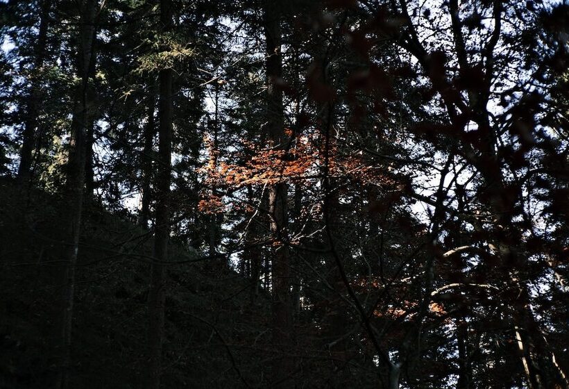 Sturm Bio  & Wellnesshotel In Der Rhön