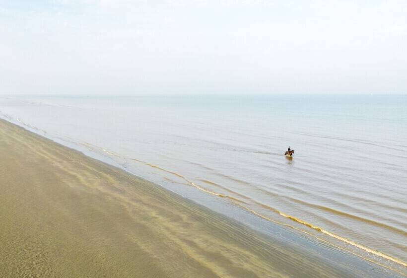 هتل De Zeevijver Oostduinkerke