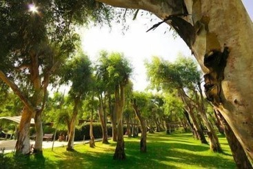 Le Dune Blu Resort