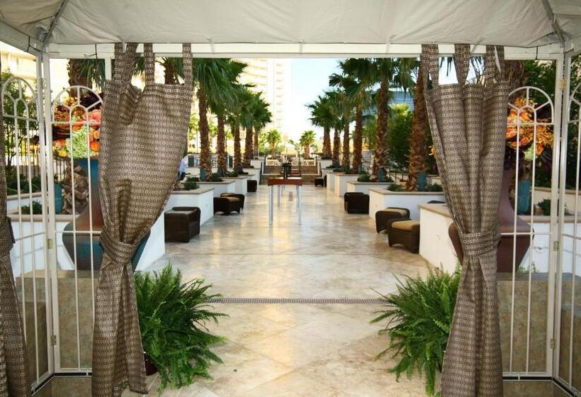 Luxury Suites International At The Signature