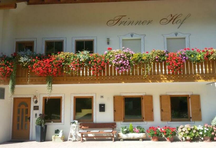 هتل Trinnerhof