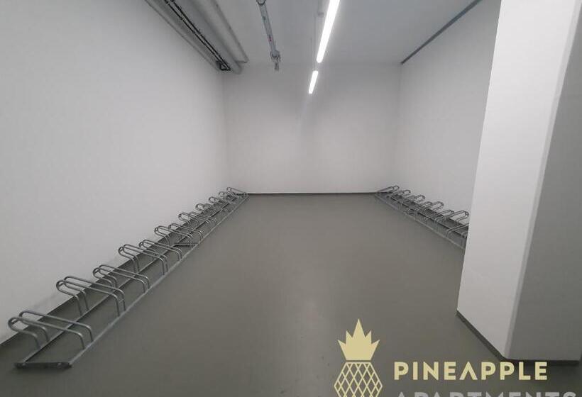 Pineapple Apartments Dresden Altstadt I 117 Qm 1x Free Parking