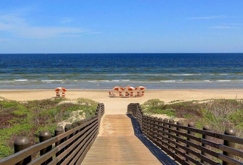 Shore To Please 115 Fi