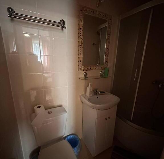 Bed and Breakfast роксолана