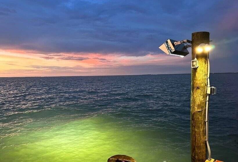 Harbor View Breeze