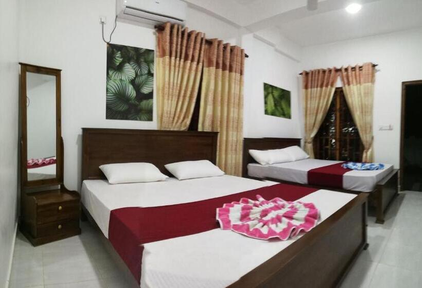 هتل Dive Beach Palace