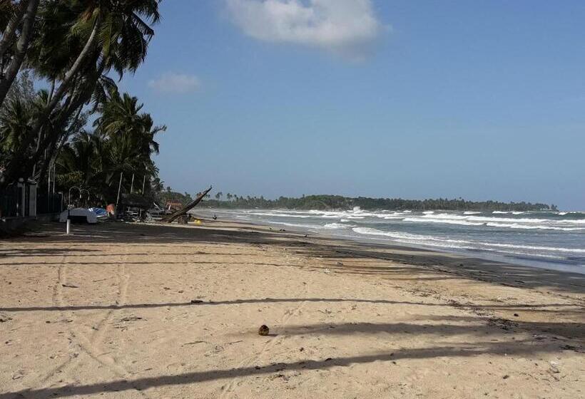 هتل Dive Beach Palace