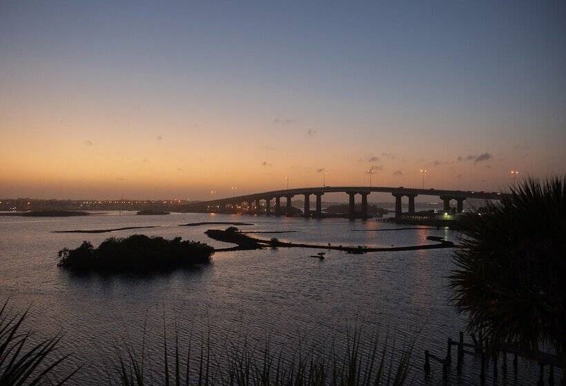 Intercoastal Dreams 201