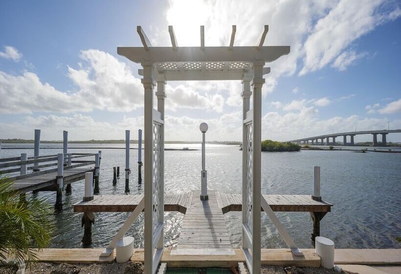 Intercoastal Dreams 201