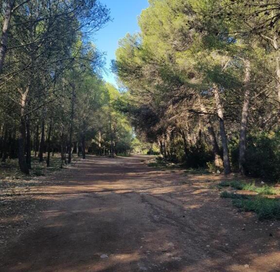 La Galiote