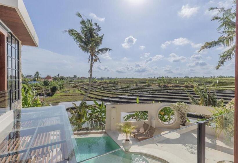 Rumah Simba