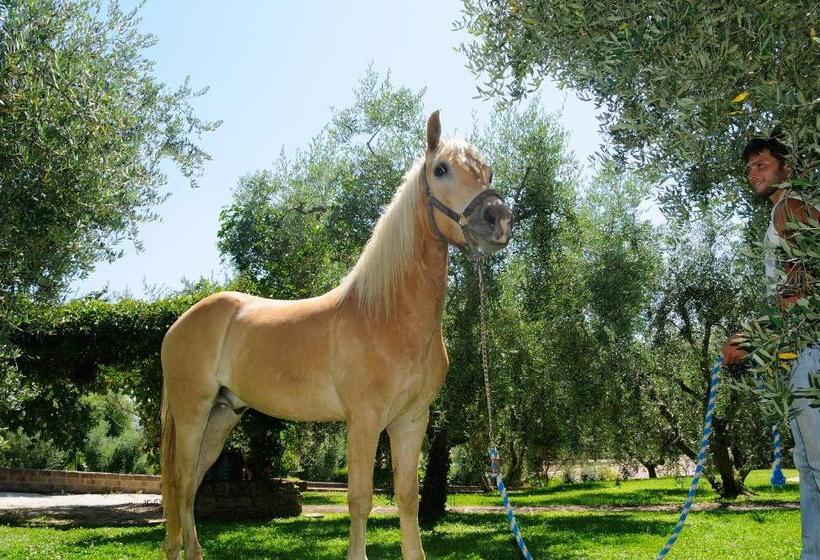ホテル Agriturismo Le Ginestre
