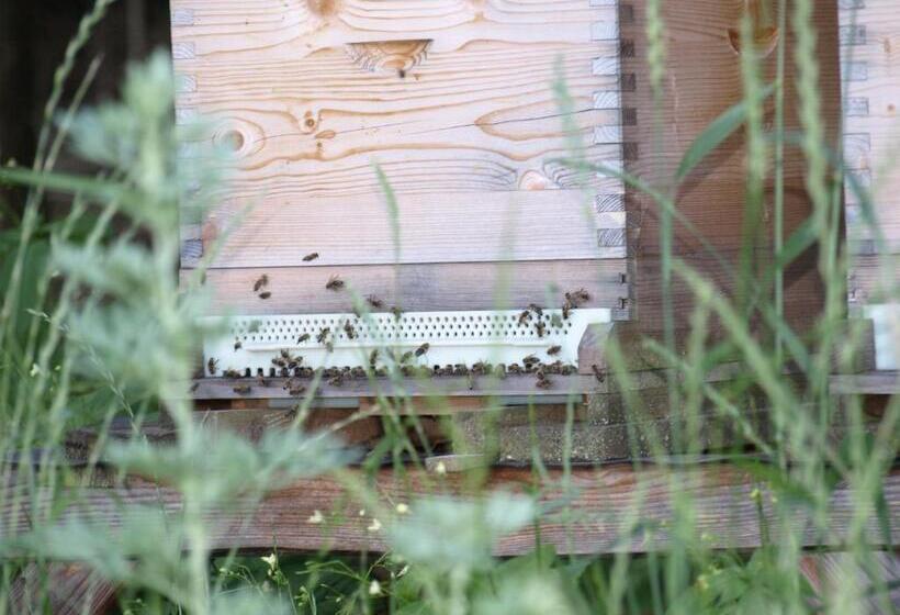 酒店 Biohof Bernhard