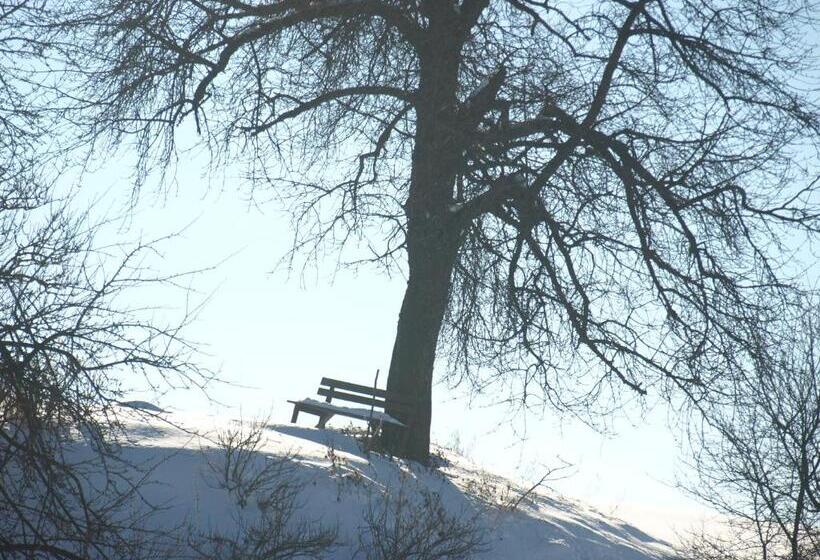 酒店 Biohof Bernhard