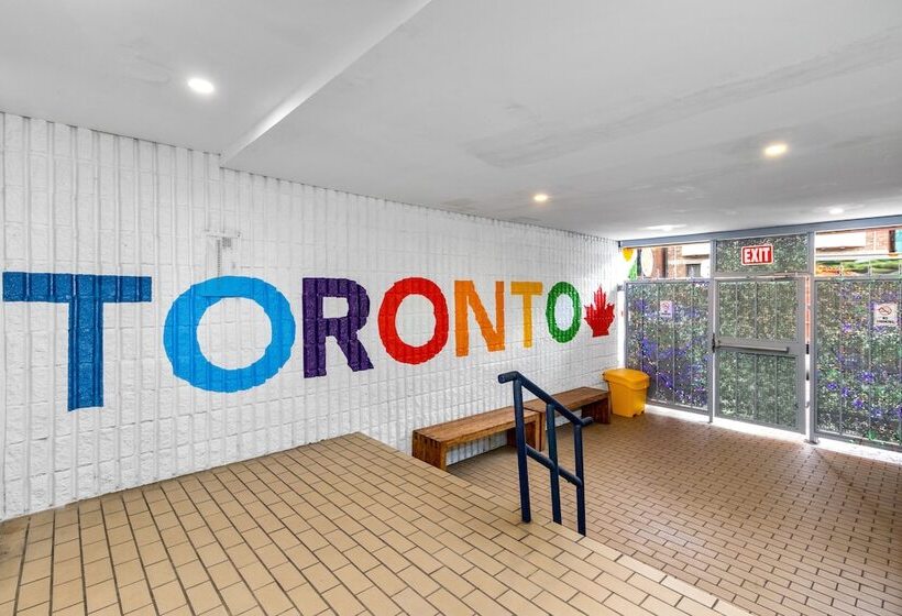 هاستل Samesun Toronto