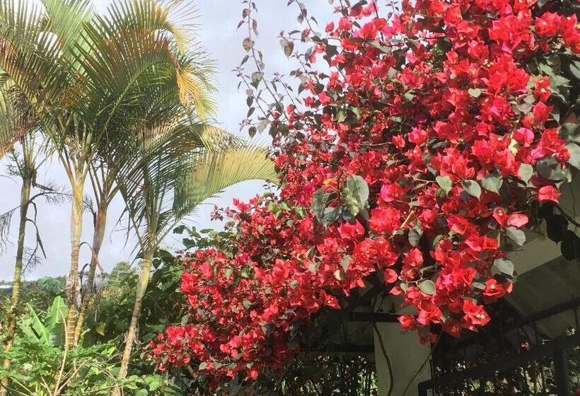 Bed and Breakfast Habitación Las Bromelias, Pijao, Finca Flora Del Rio