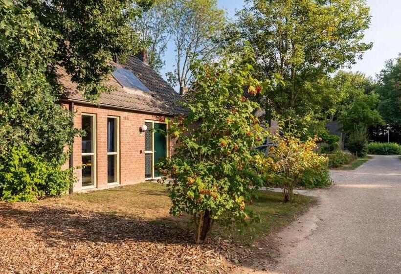 Coco Wellness Bungalow