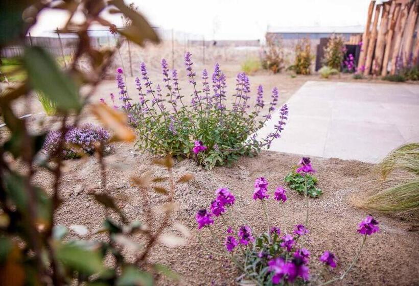 Ecohome Veer   Zeezand Recreatie
