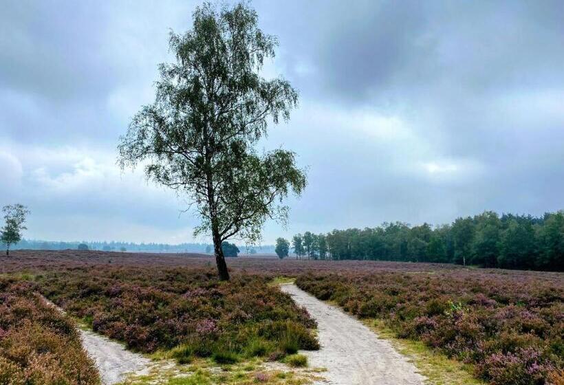 Huisje Aan De Bosrand   Veluwe