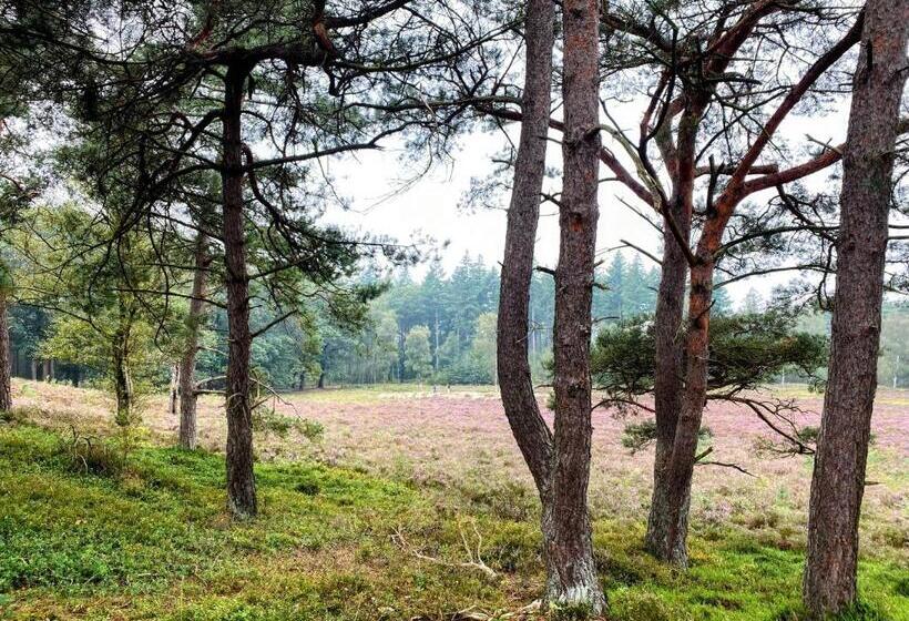Huisje Aan De Bosrand   Veluwe
