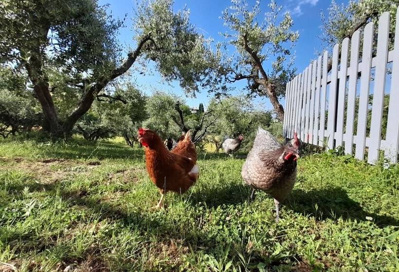 Immaculate 1bedroom Apartment In Ortezzano