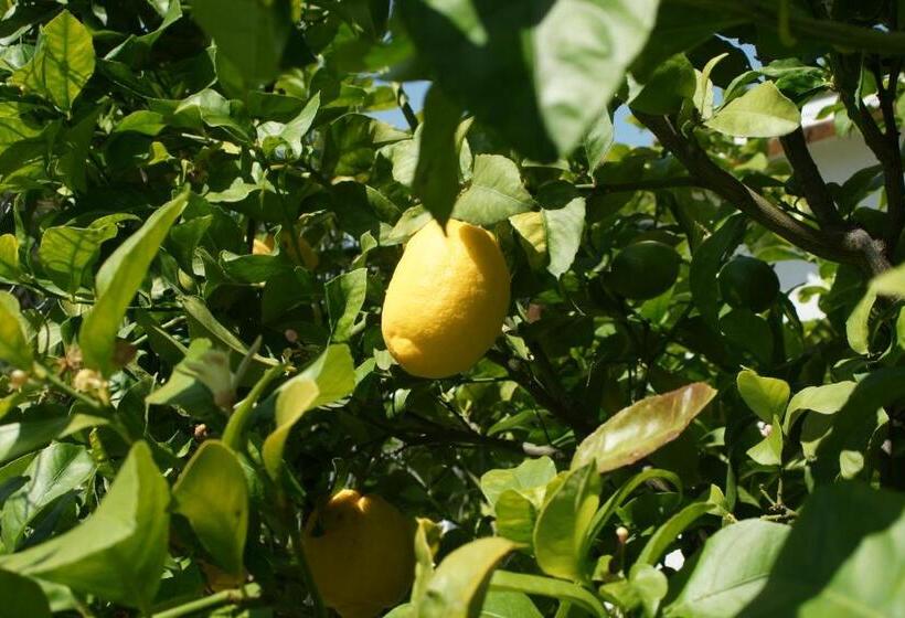 تختخواب و صبحانه Finca Mil Estrellas