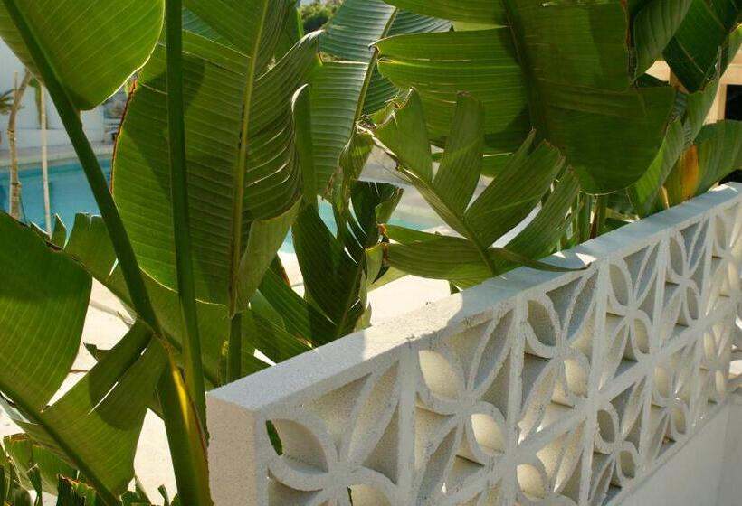 تختخواب و صبحانه Finca Mil Estrellas