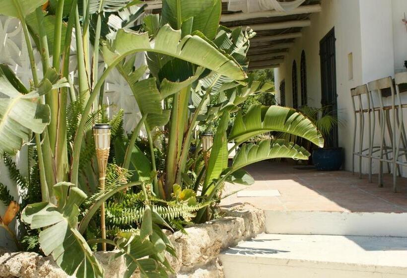 تختخواب و صبحانه Finca Mil Estrellas