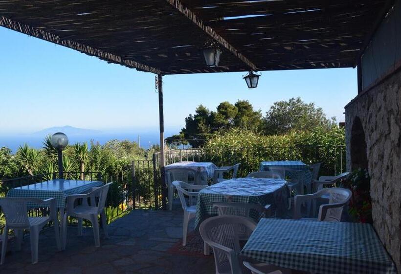 تختخواب و صبحانه Oasi Di Villa Damecuta