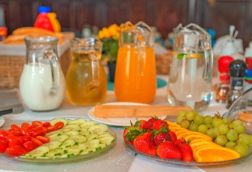 هتل Rezidence Znojmo